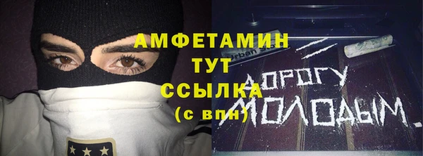 молекула духа Осташков