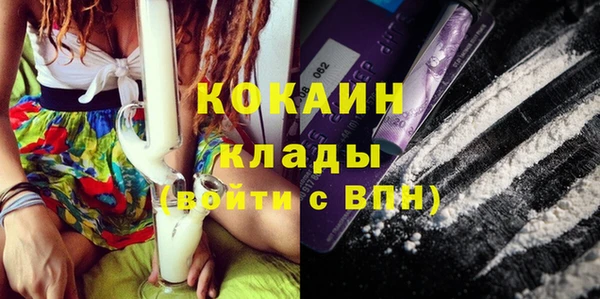 СК Вязьма