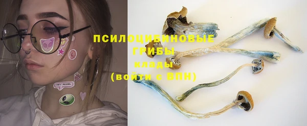 стаф Чекалин