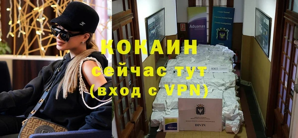 стаф Чекалин
