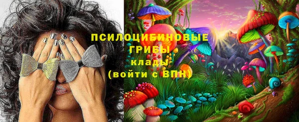 СК Вязьма
