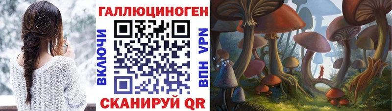 Галлюциногенные грибы ЛСД  где продают наркотики  Гусиноозёрск 